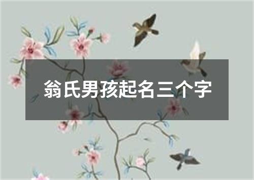 翁氏男孩起名三个字