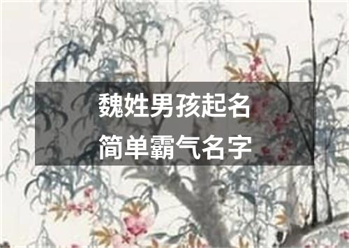 魏姓男孩起名简单霸气名字