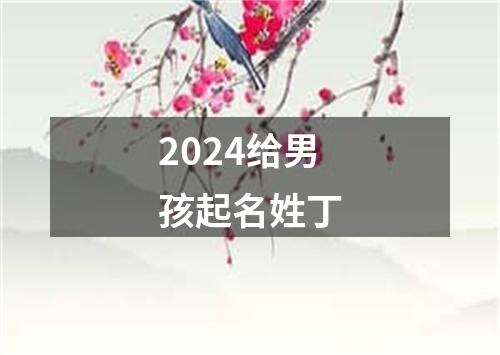 2024给男孩起名姓丁