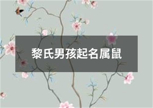 黎氏男孩起名属鼠