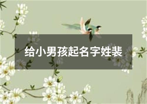 给小男孩起名字姓裴