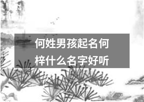 何姓男孩起名何梓什么名字好听