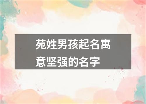 苑姓男孩起名寓意坚强的名字