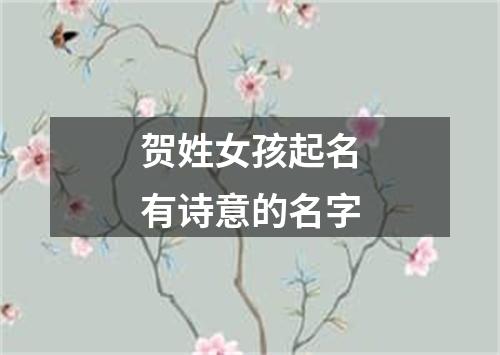 贺姓女孩起名有诗意的名字