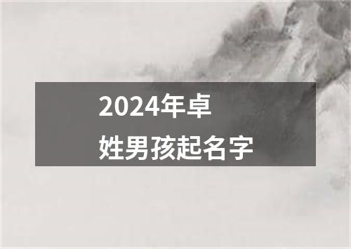 2024年卓姓男孩起名字