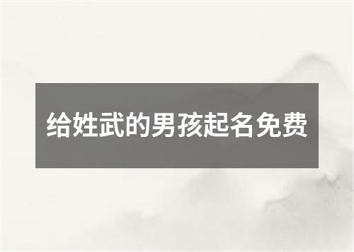 给姓武的男孩起名免费