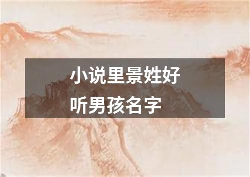 小说里景姓好听男孩名字