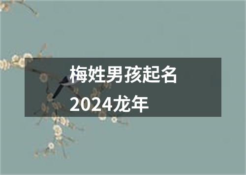 梅姓男孩起名2024龙年