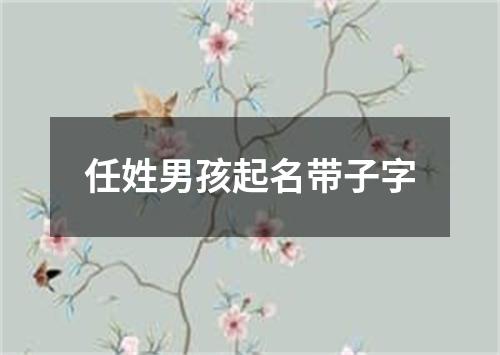 任姓男孩起名带子字