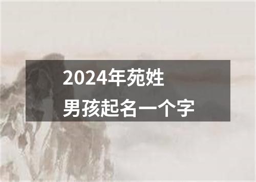 2024年苑姓男孩起名一个字