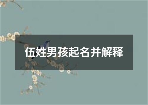 伍姓男孩起名并解释