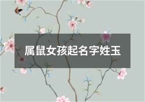 属鼠女孩起名字姓玉