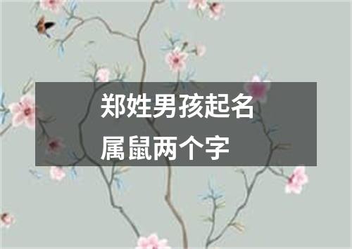 郑姓男孩起名属鼠两个字