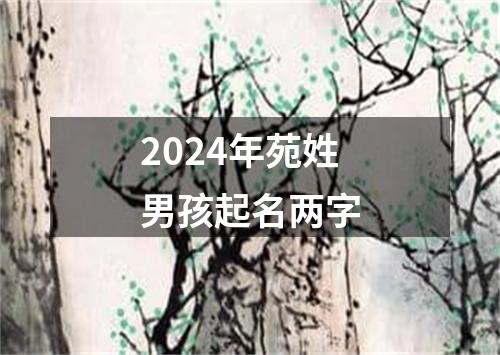 2024年苑姓男孩起名两字