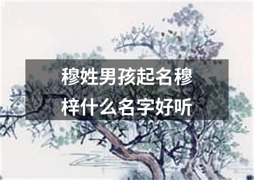 穆姓男孩起名穆梓什么名字好听