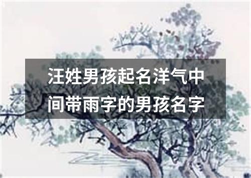 汪姓男孩起名洋气中间带雨字的男孩名字