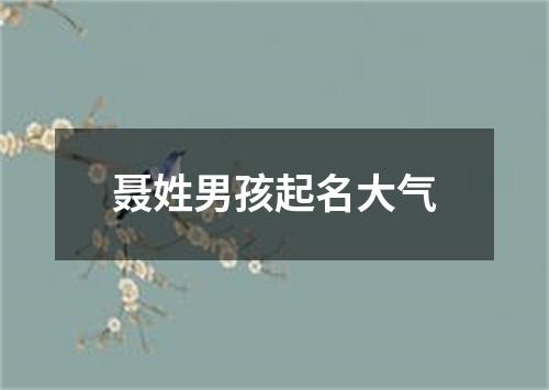 聂姓男孩起名大气