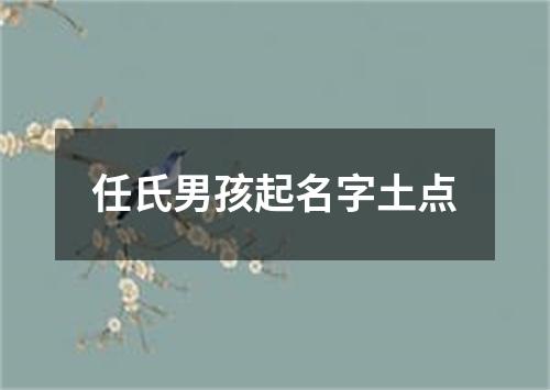 任氏男孩起名字土点