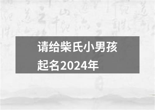 请给柴氏小男孩起名2024年