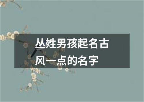 丛姓男孩起名古风一点的名字