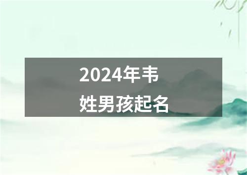 2024年韦姓男孩起名