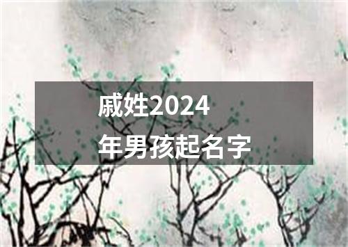 戚姓2024年男孩起名字