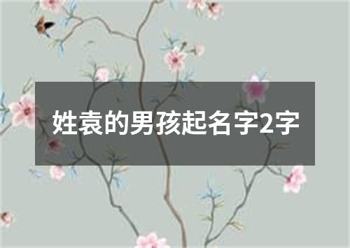 姓袁的男孩起名字2字