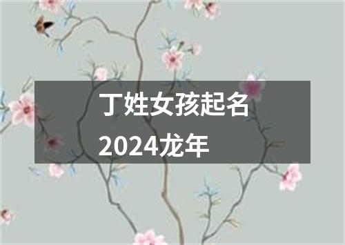 丁姓女孩起名2024龙年