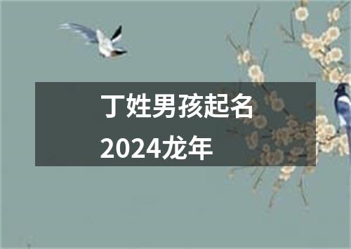 丁姓男孩起名2024龙年