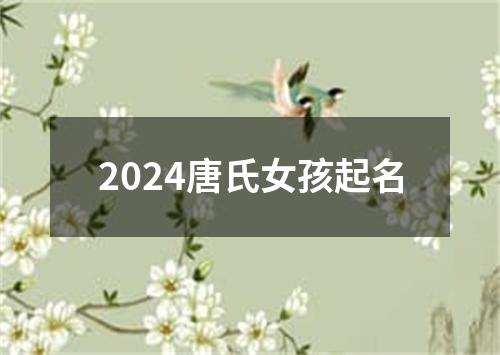 2024唐氏女孩起名