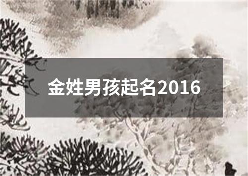 金姓男孩起名2016