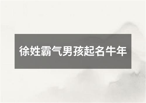 徐姓霸气男孩起名牛年