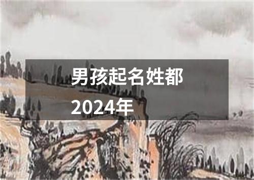 男孩起名姓都2024年