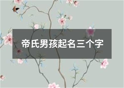 帝氏男孩起名三个字