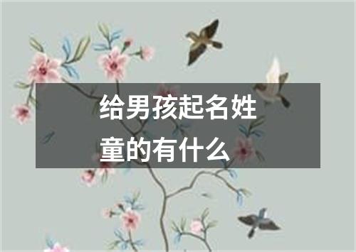 给男孩起名姓童的有什么