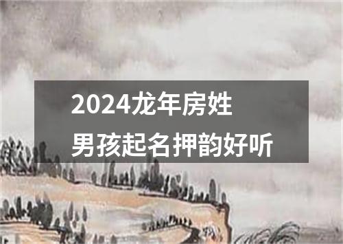 2024龙年房姓男孩起名押韵好听