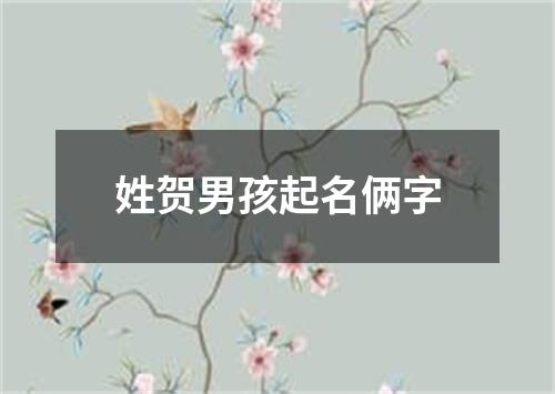 姓贺男孩起名俩字