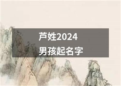 芦姓2024男孩起名字