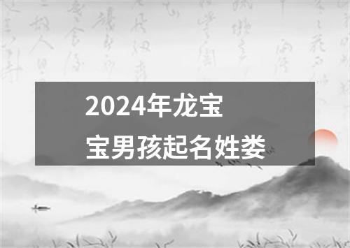 2024年龙宝宝男孩起名姓娄