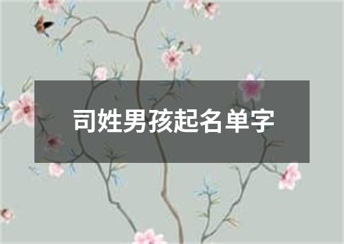 司姓男孩起名单字