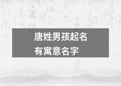 唐姓男孩起名有寓意名字