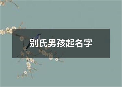 别氏男孩起名字