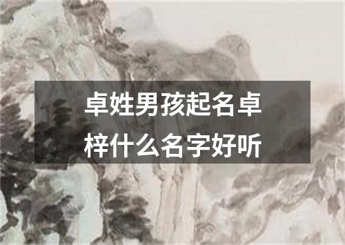 卓姓男孩起名卓梓什么名字好听