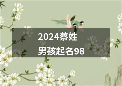 2024蔡姓男孩起名98