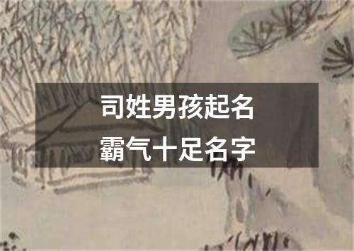 司姓男孩起名霸气十足名字