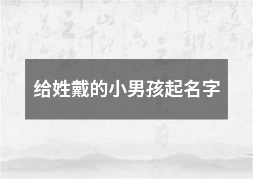 给姓戴的小男孩起名字