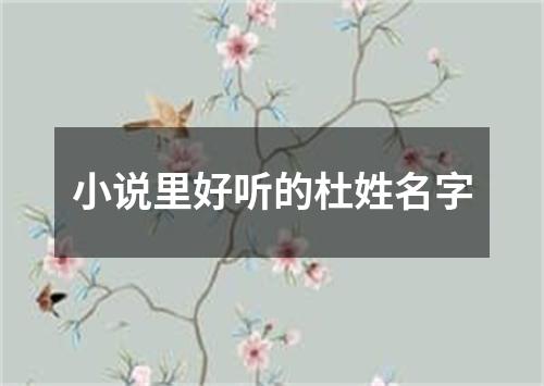 小说里好听的杜姓名字