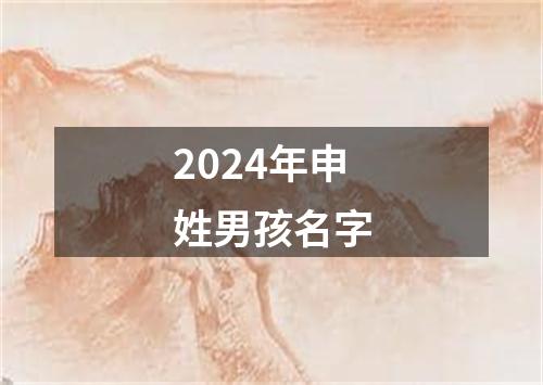 2024年申姓男孩名字