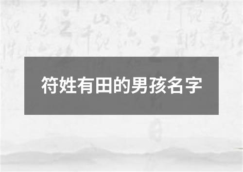 符姓有田的男孩名字