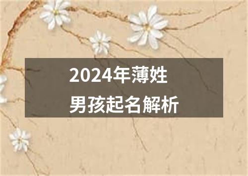 2024年薄姓男孩起名解析